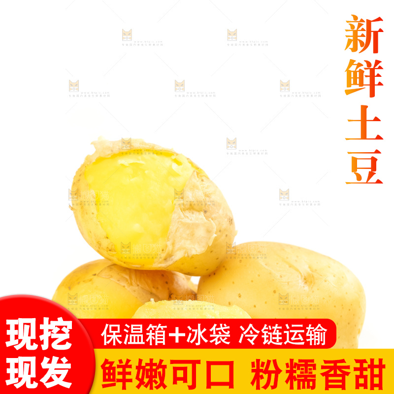 白底上的小土豆
