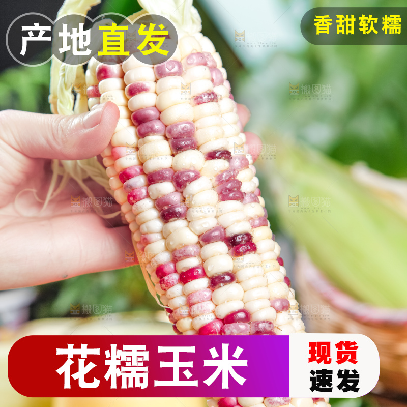 手里拿着剥皮的香甜糯玉米