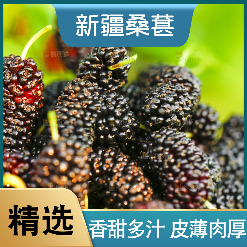 碗里装着桑葚
