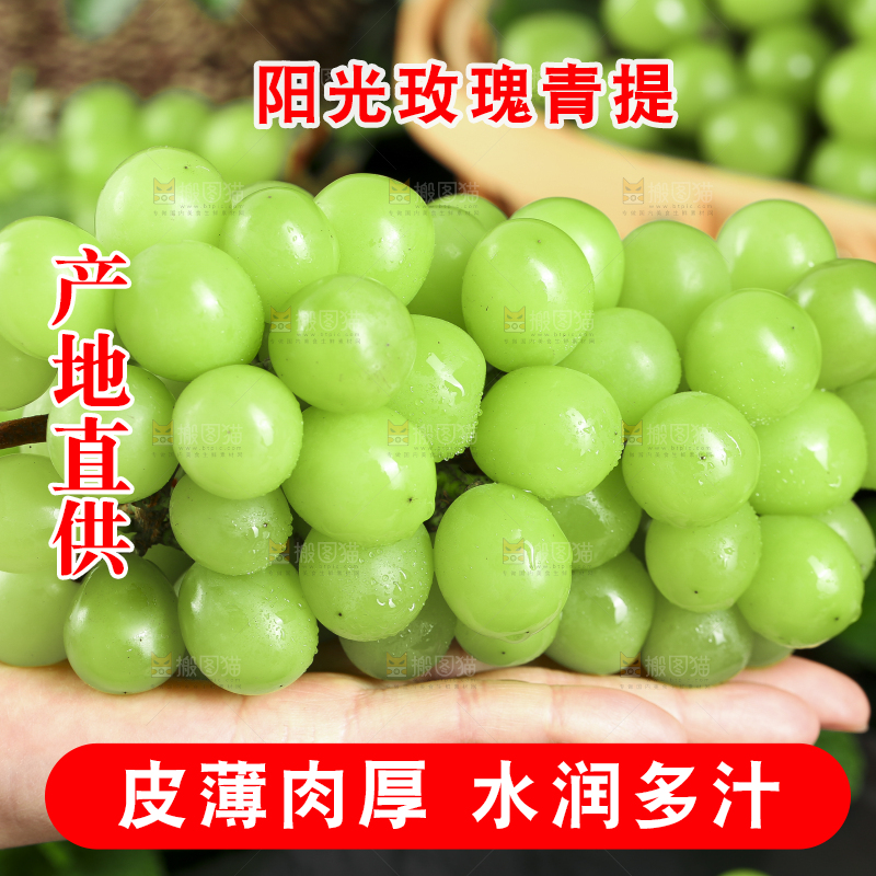 手里拿着无籽青提