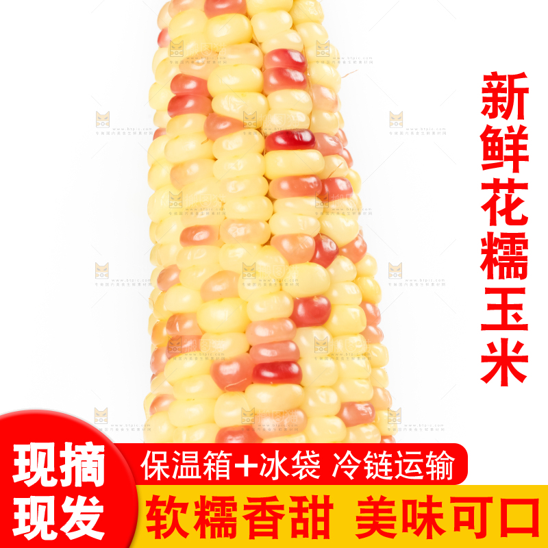 手里拿着花糯玉米