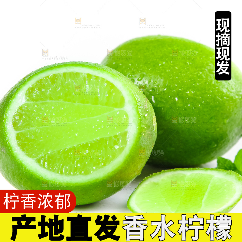 白底上放着切开的无籽青柠檬