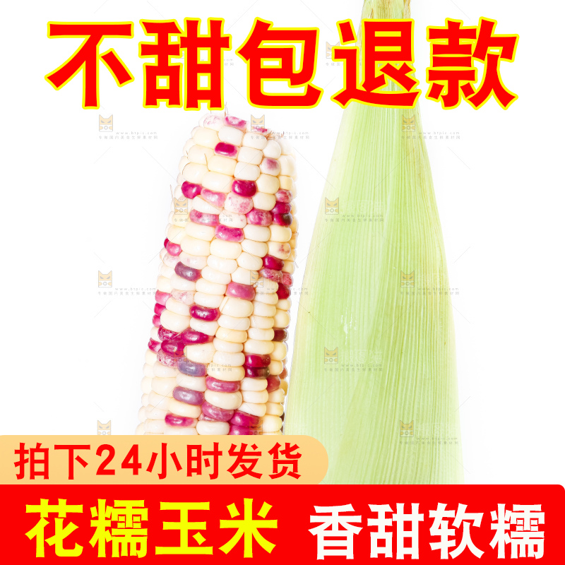 手里拿着剥皮的广西花糯玉米