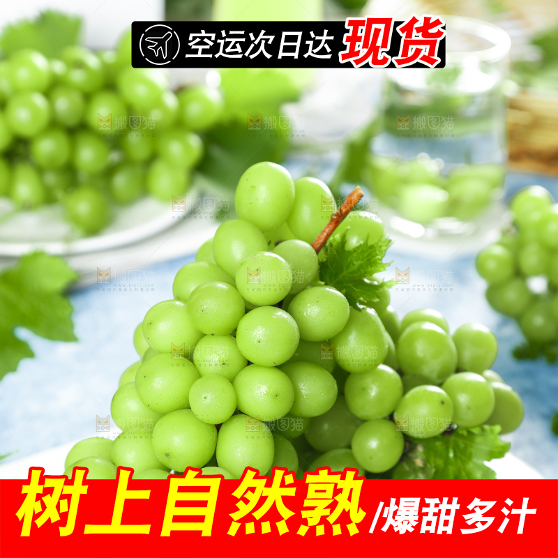 浅底上摆放着阳光玫瑰青提