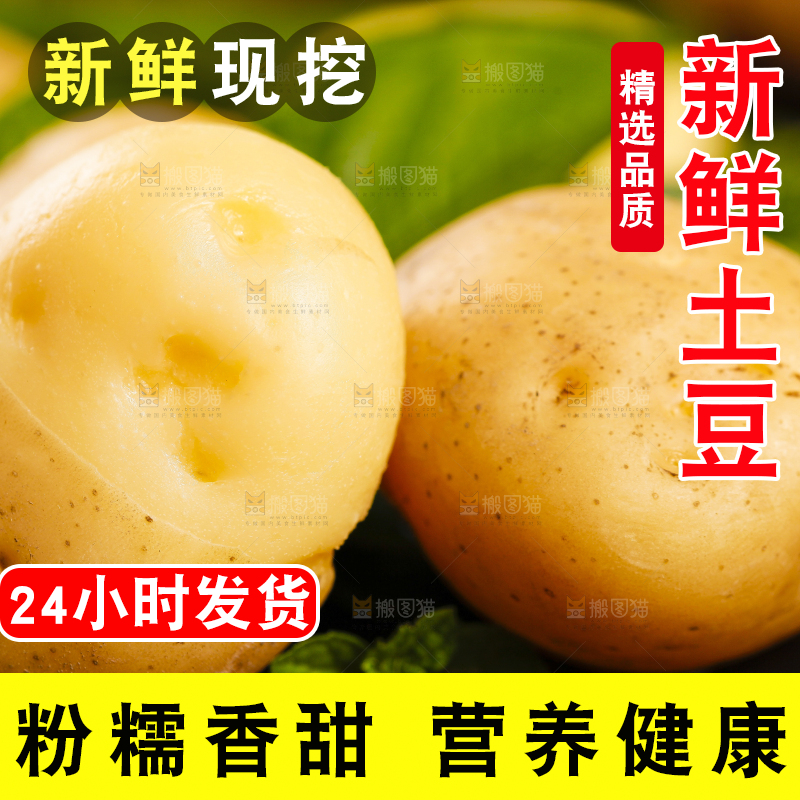 黑石板上放着小土豆