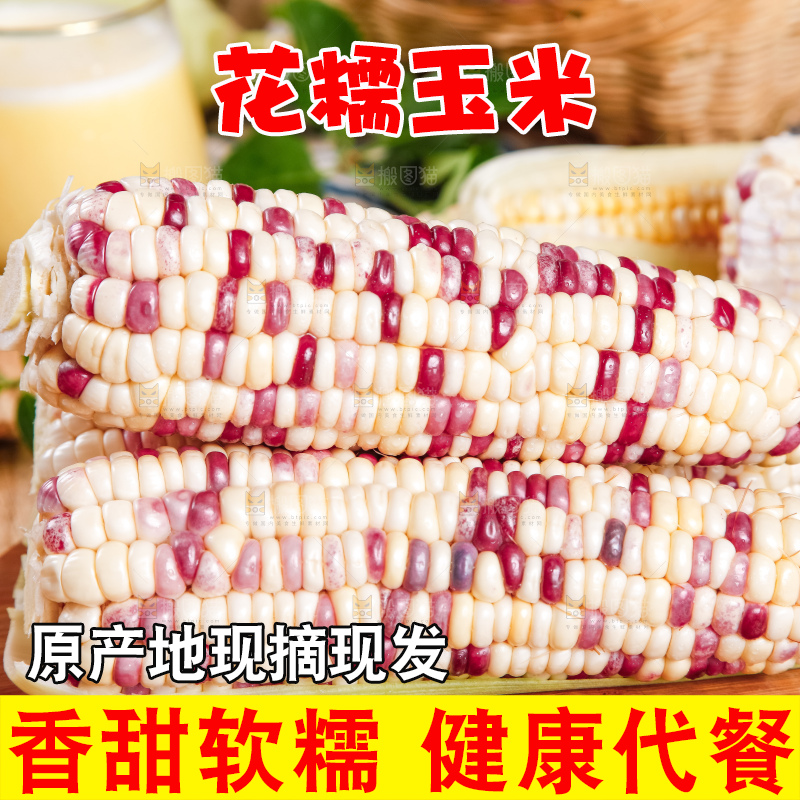 木板上放着剥皮的花玉米