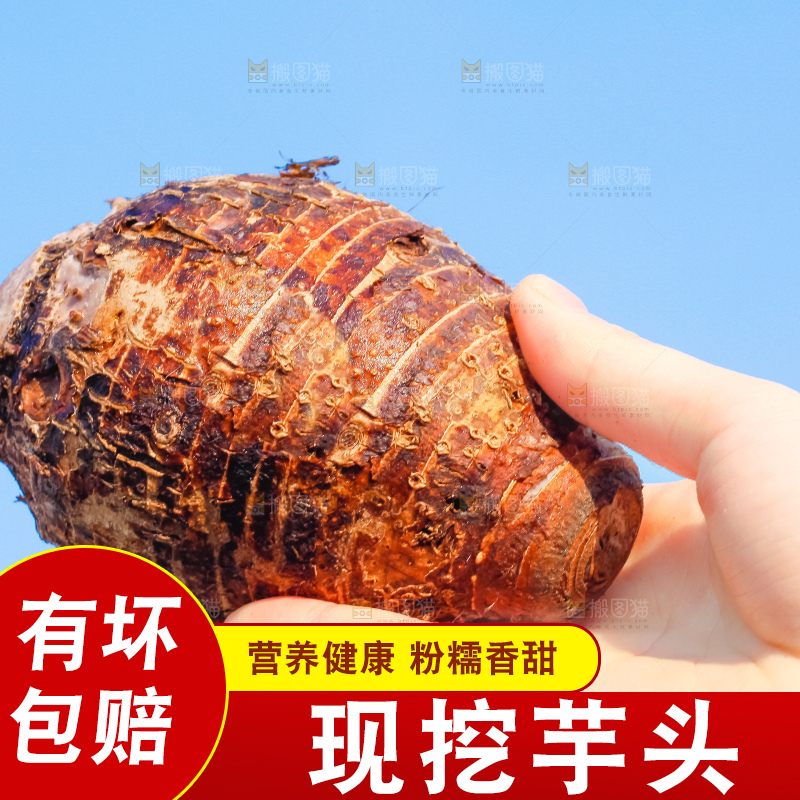 手里拿着紫藤芋头