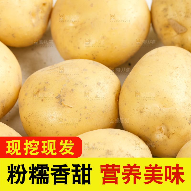 云南小土豆