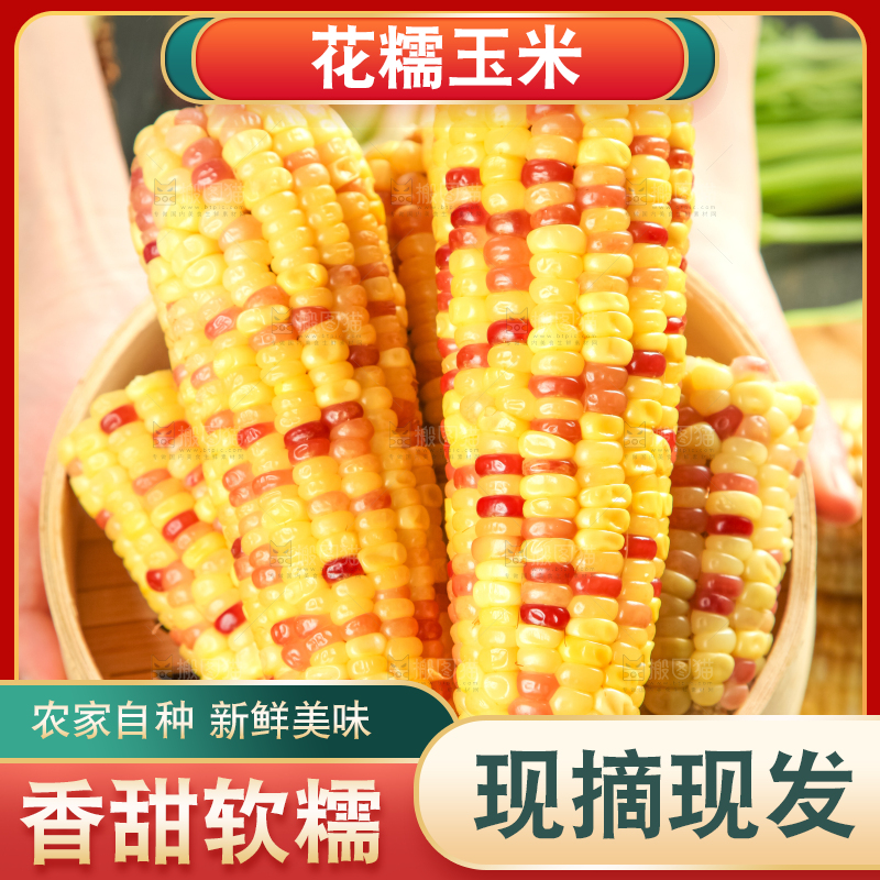 竹笼里装着糯玉米