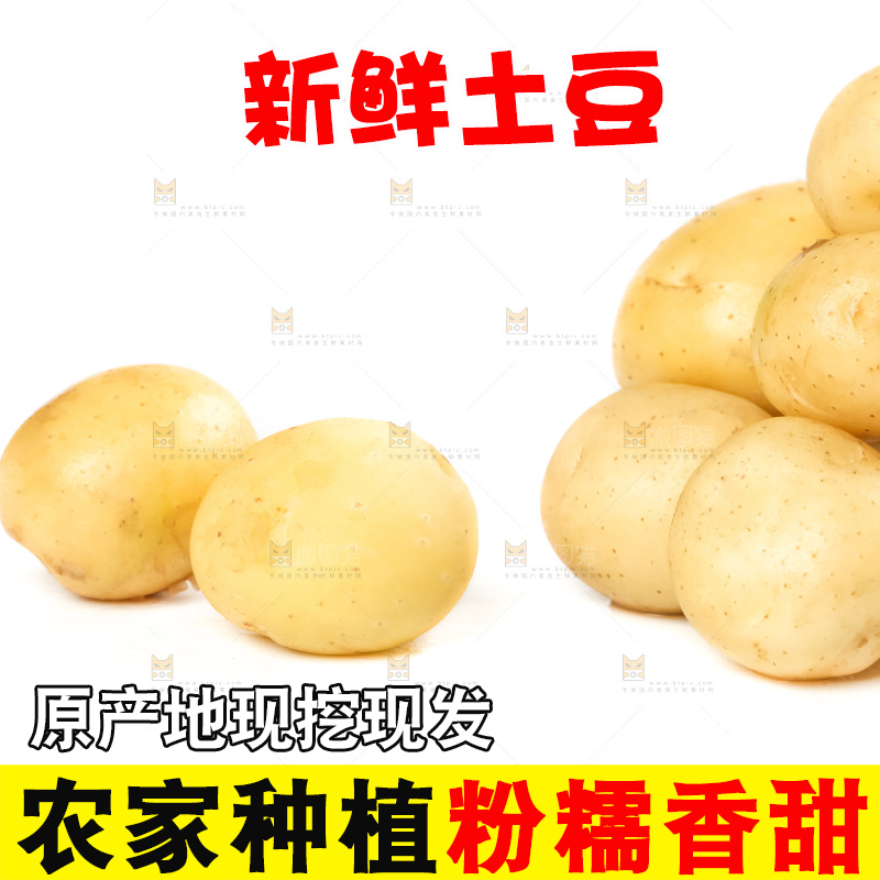 白底上放着云南小土豆