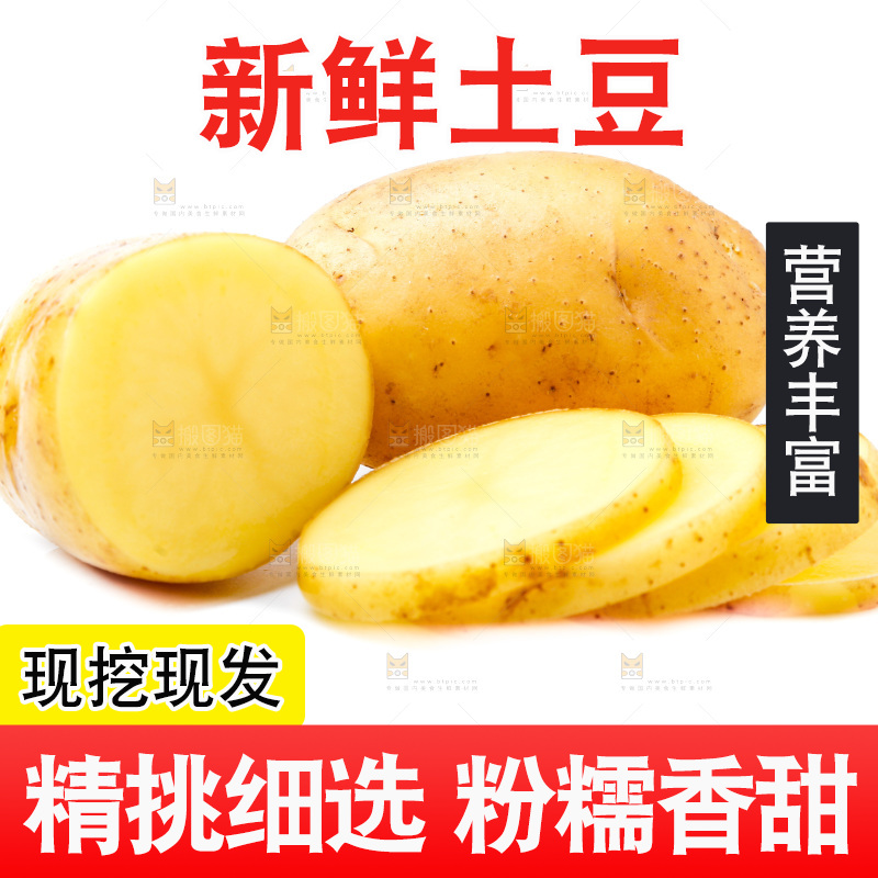新鲜土豆放在白底上
