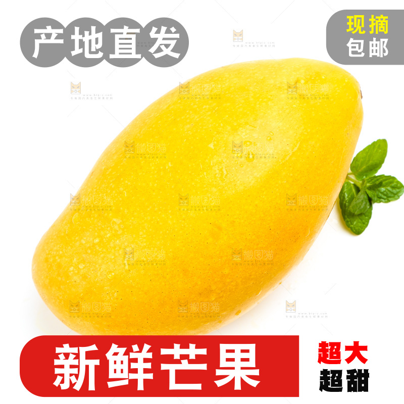 新鲜台芒放在白底上