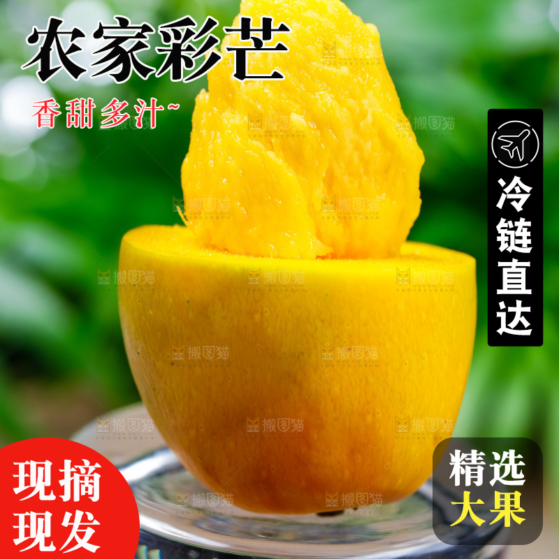 浅底上的彩芒