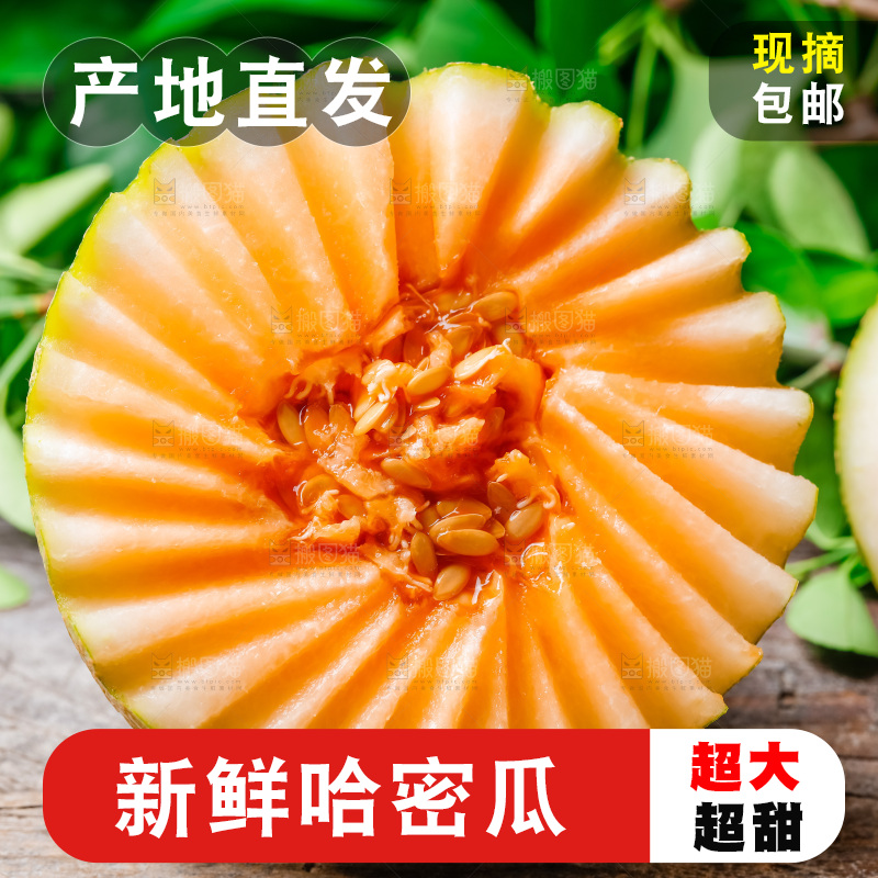 哈密瓜主图