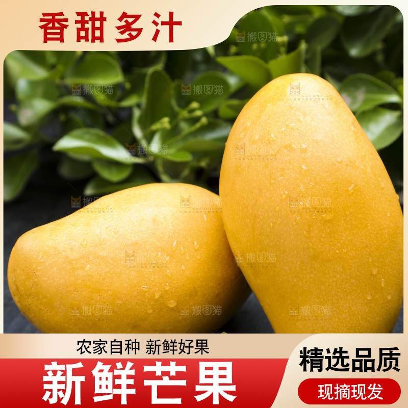 深底上的芒果
