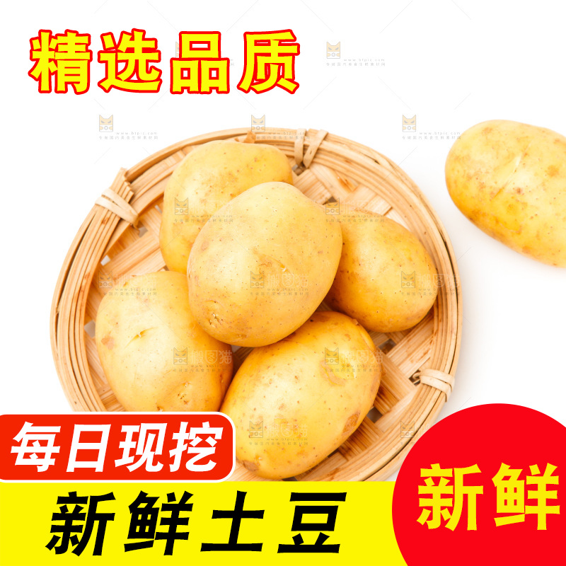 一盘新鲜土豆放在白底上