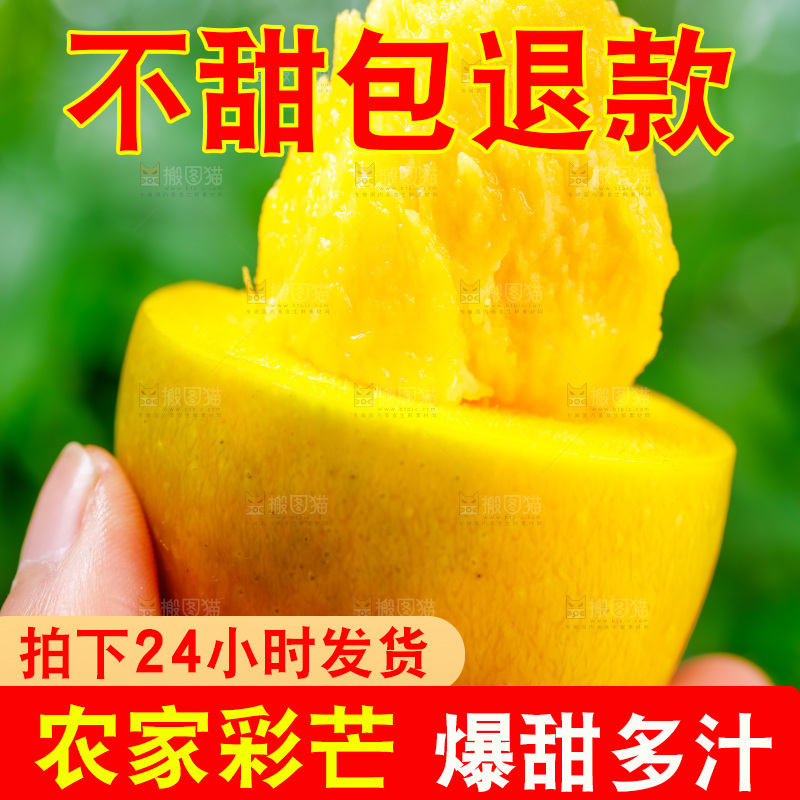 手拿新鲜彩芒