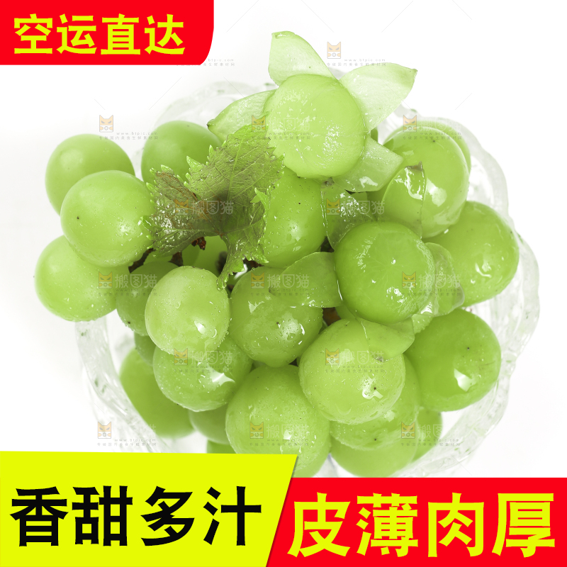 杯子里装着阳光玫瑰