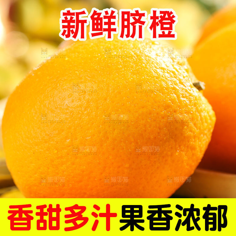 叶子上的新鲜脐橙