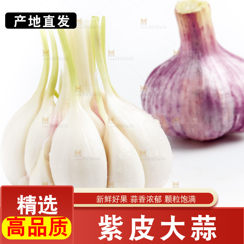 白底上放着多瓣蒜