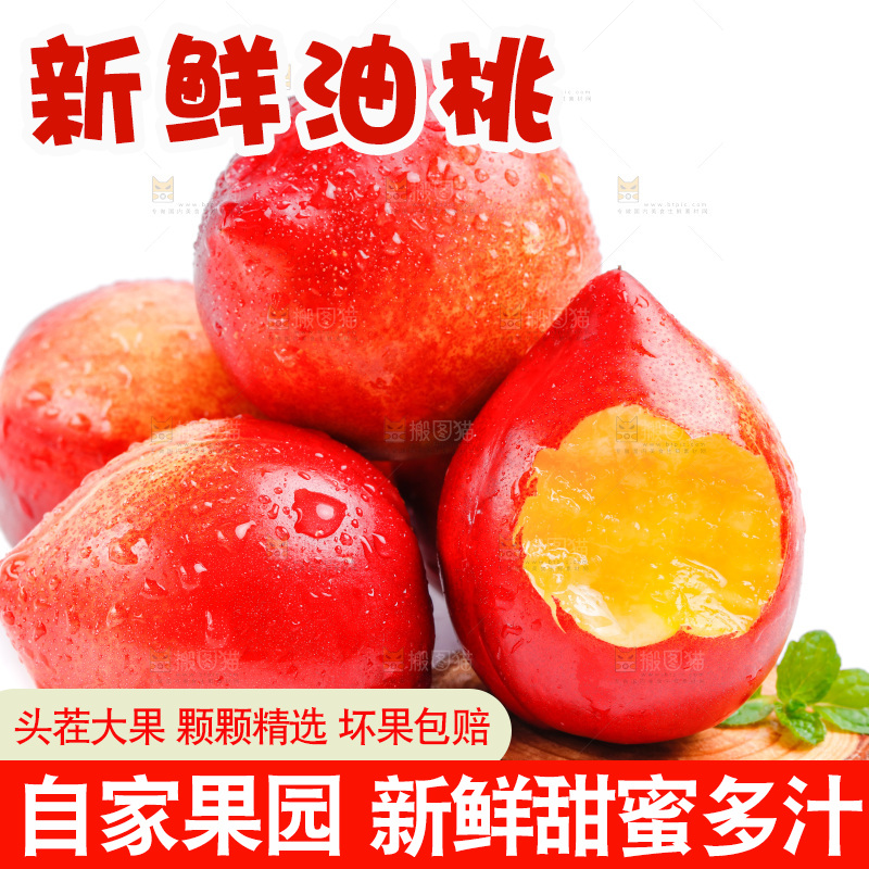 山西黄心油桃放在白底上