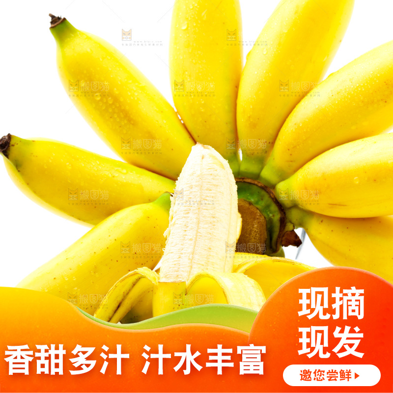 皇帝蕉放白底上