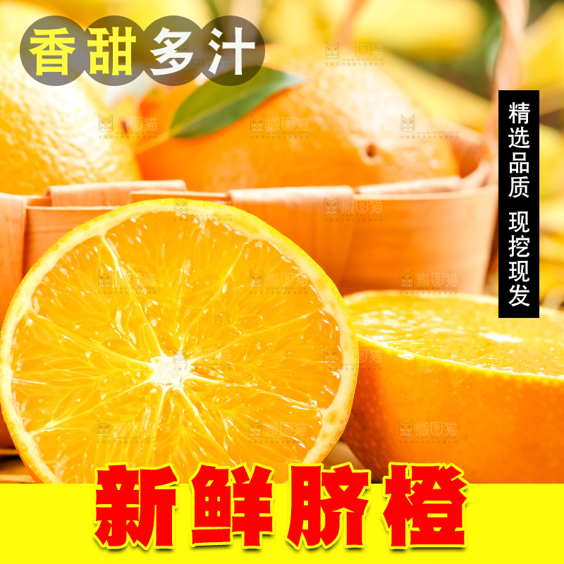 叶子上的新鲜脐橙