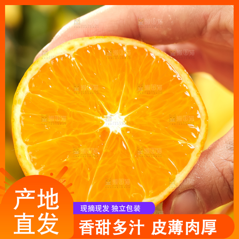 叶子上的新鲜脐橙