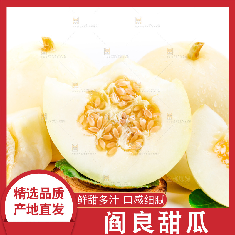 新鲜阎良甜瓜放在白底上