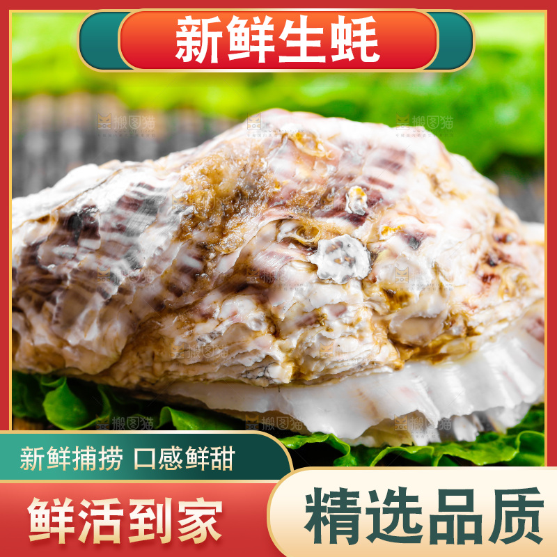 木底上放着生蚝