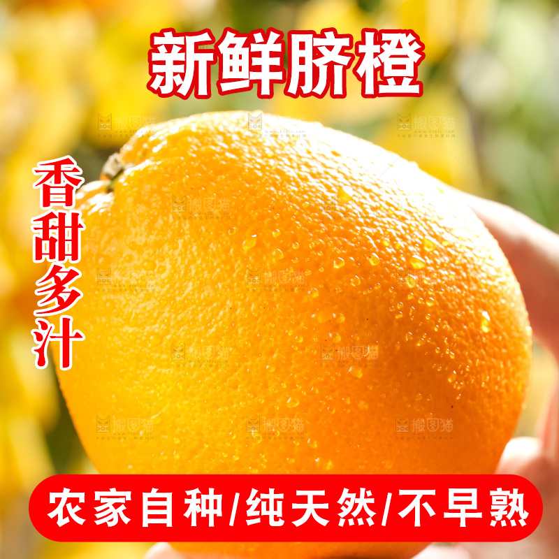 叶子上的新鲜脐橙