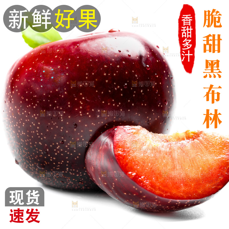 白底上的黑布林