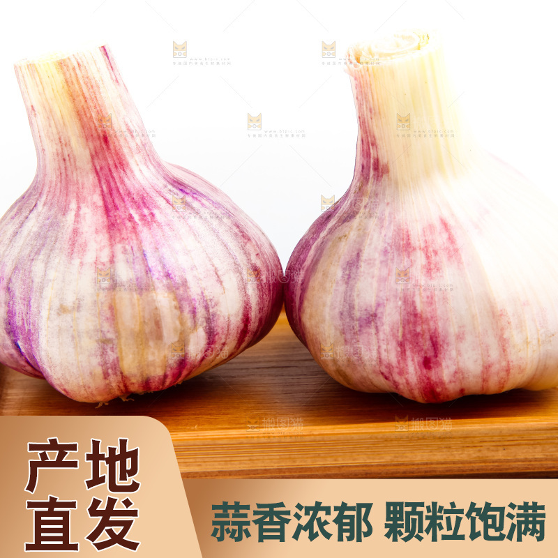 紫皮大蒜放在白底上