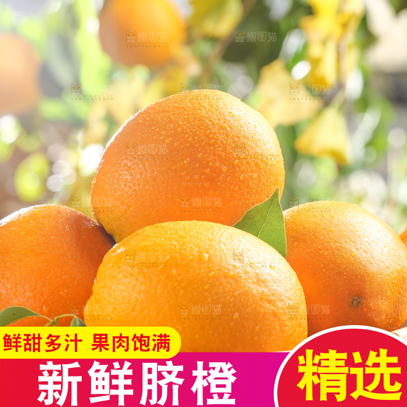 叶子上的新鲜脐橙