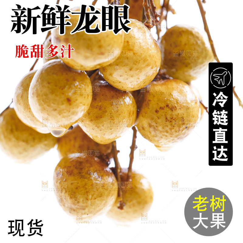 新鲜龙眼放在白底上