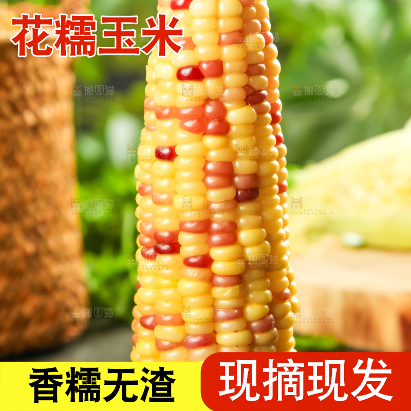 黑石板上放着糯玉米