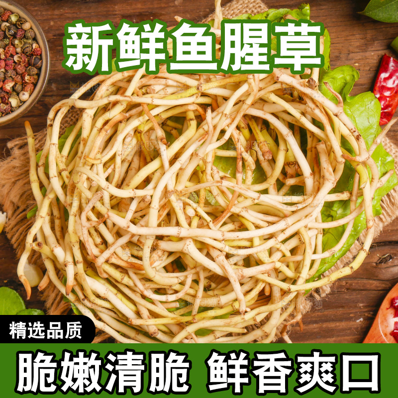 木底上的鱼腥草