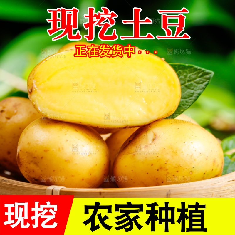 木底放着一盘云南土豆
