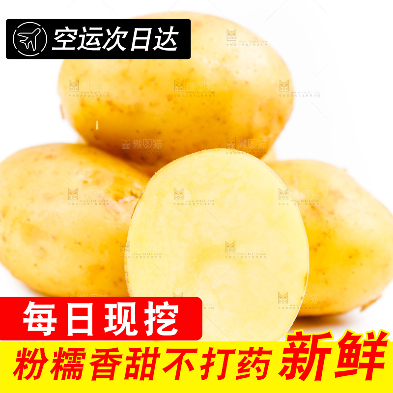 白底上的土豆