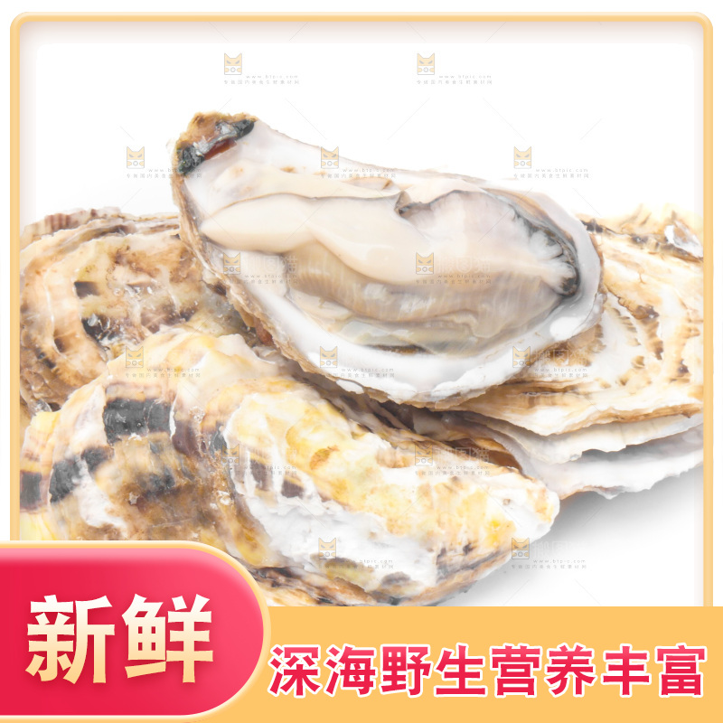 白底上放着海蛎子