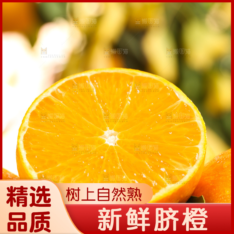 叶子上的新鲜脐橙