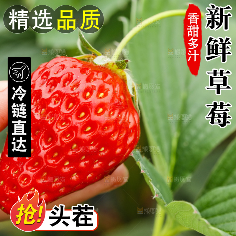 手拿草莓