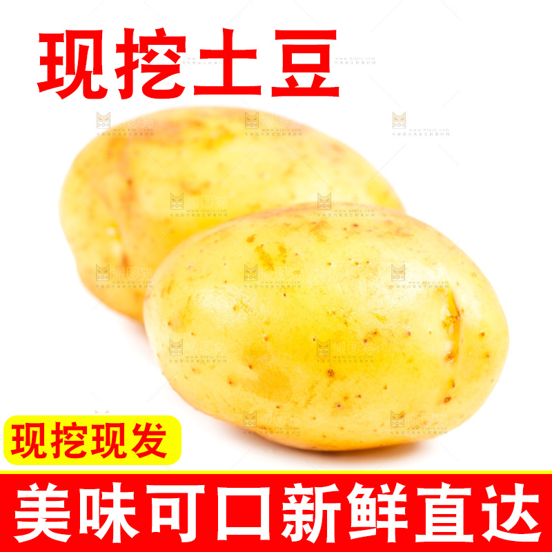 白底上的土豆