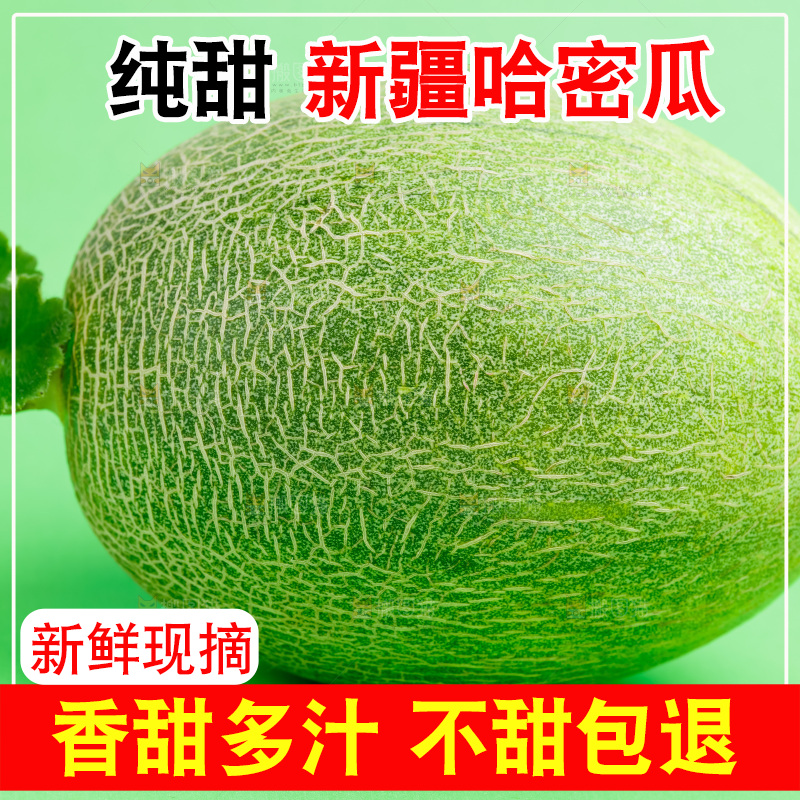浅底上的哈密瓜