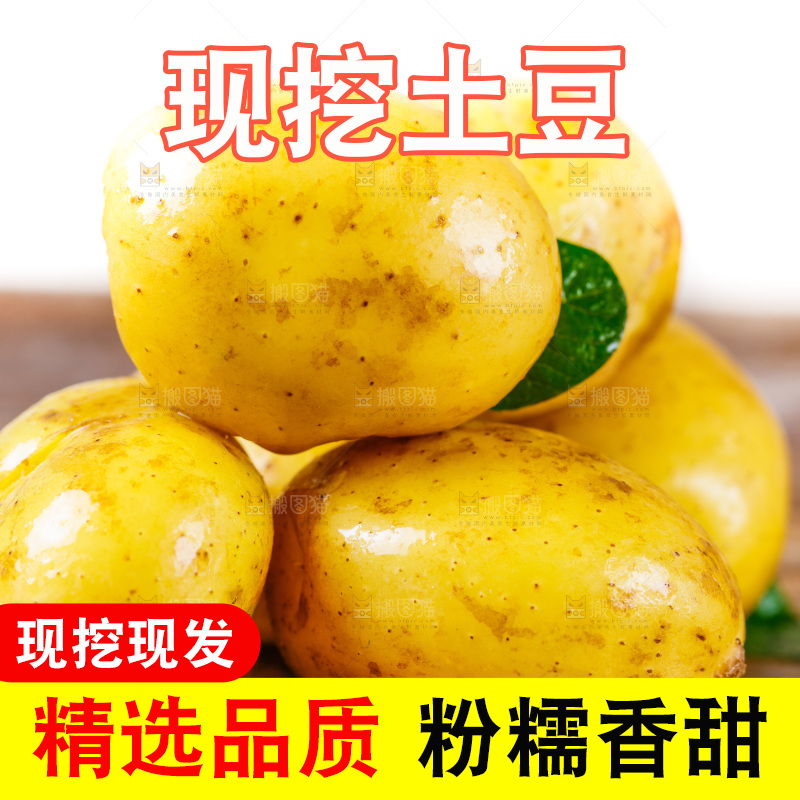 新鲜土豆放在木底上