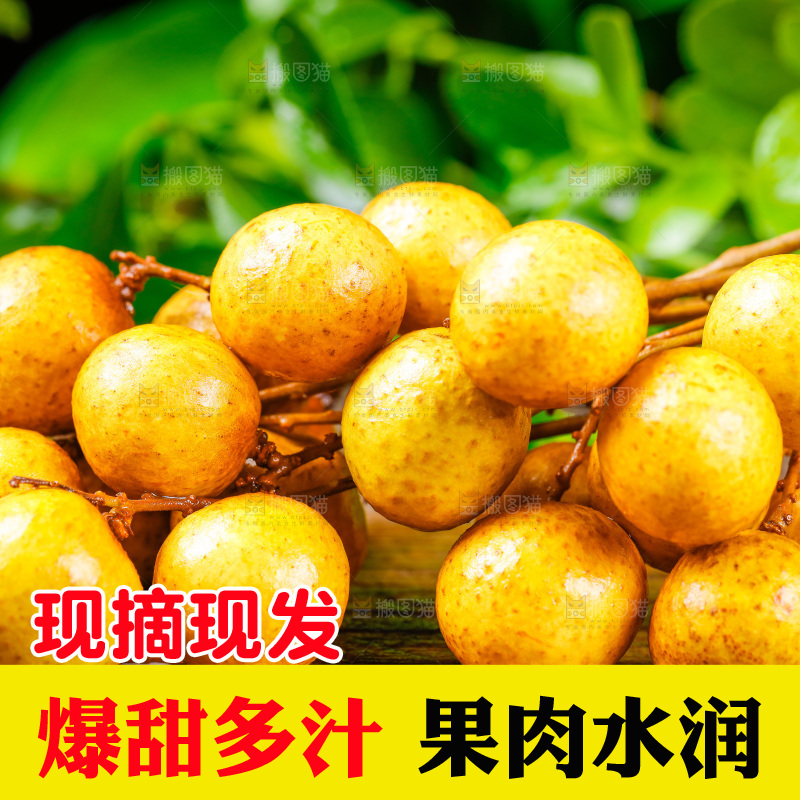 新鲜龙眼放在木底上
