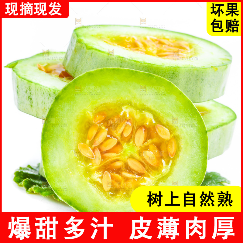 新鲜羊角蜜放在白底上