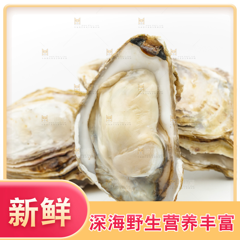 白底上的生蚝