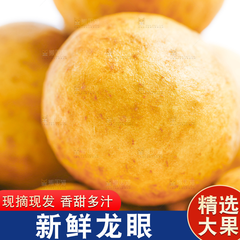 白底上的龙眼