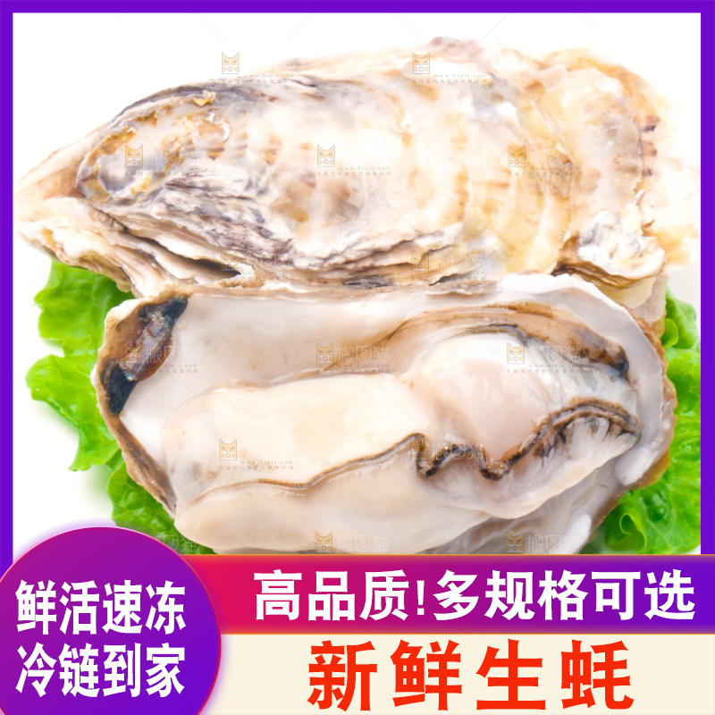 白底上放着乳山生蚝